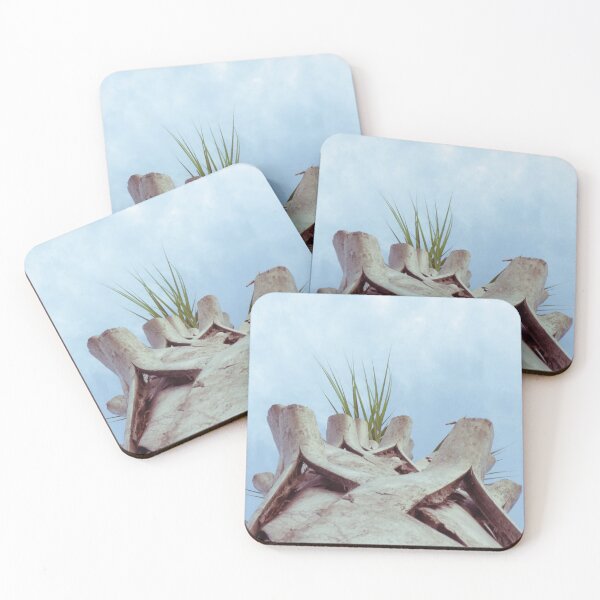 Item preview, Palm Tree designed and sold by DefayDesigns.