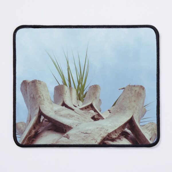 Item preview, Palm Tree designed and sold by DefayDesigns.