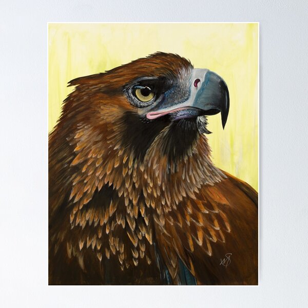 Australian Wedge-tailed Eagle Poster