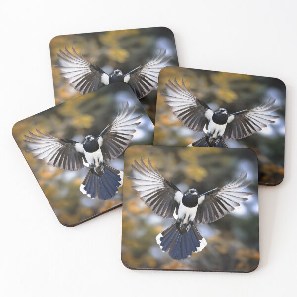 Item preview, A magpie in flight with open wings designed and sold by Graham Prentice.