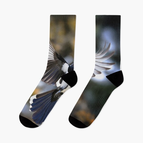 Item preview, A magpie in flight with open wings designed and sold by Graham Prentice.