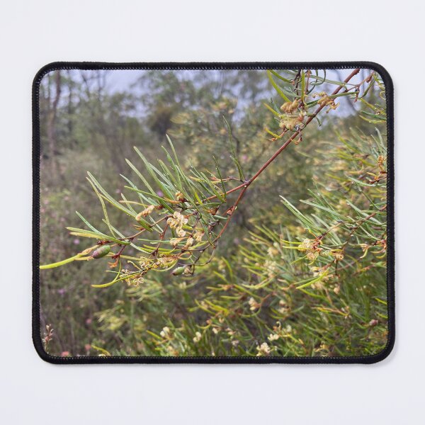 Item preview, Rare and Threatened Australian Flora - Grevillea parviflora subsp. supplicans. designed and sold by Arcane Botanica.