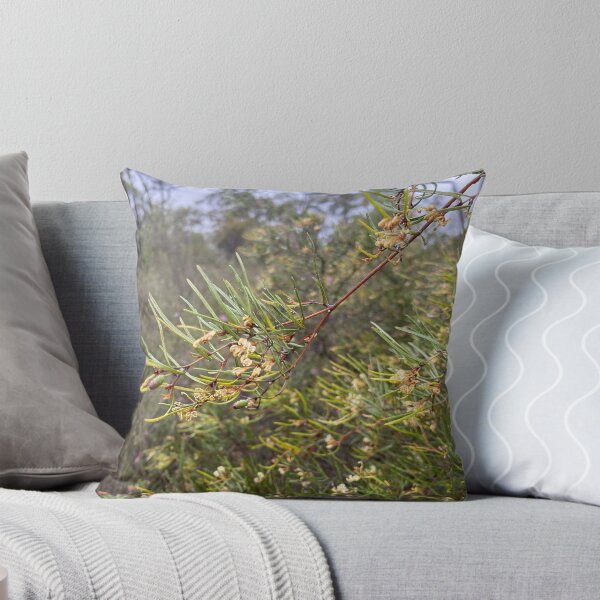 Item preview, Rare and Threatened Australian Flora - Grevillea parviflora subsp. supplicans.  designed and sold by Arcane Botanica.