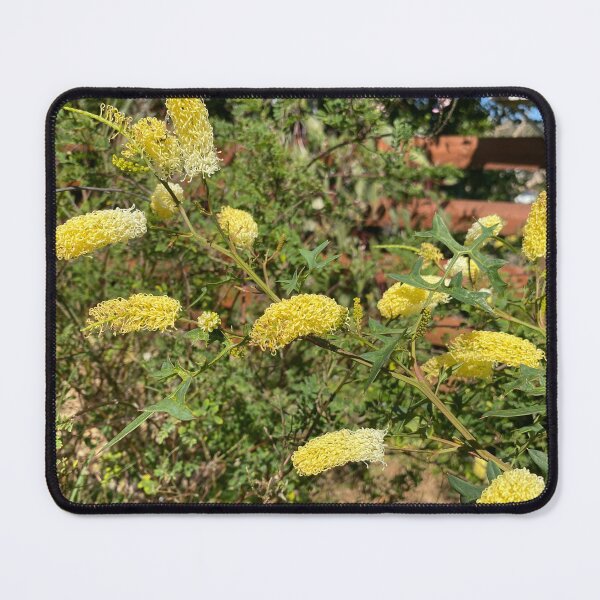 Item preview, Grevillea flexuosa - Zig Zag Grevillea designed and sold by Arcane Botanica.