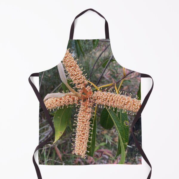 Item preview, Xylomelum pyriforme - Woody Pear designed and sold by Arcane Botanica.
