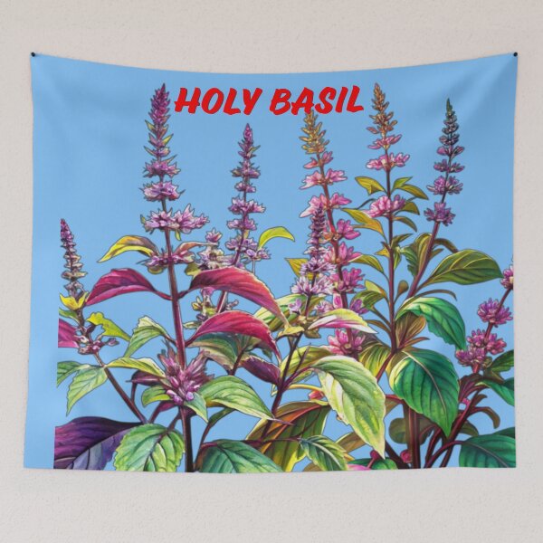 Item preview, Holy Basil, Tulsi Herb, Sacred Herb, Natural Remedies, Herbal Medicine designed and sold by PixelStoneDesign .