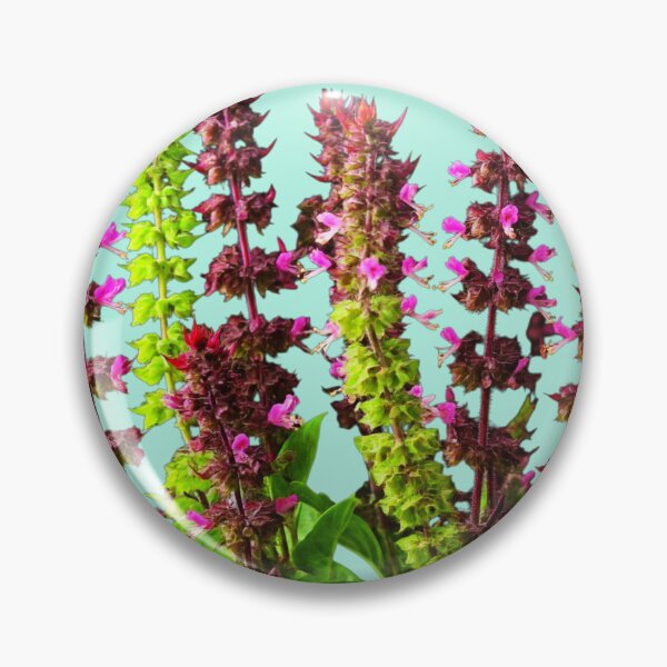 Item preview, Sweet Basil, Herbal Plant, Basil Benefits, Basil Leaves, Basil Recipes, Cooking With Basil designed and sold by PixelStoneDesign .