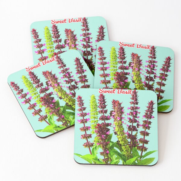 Item preview, Sweet Basil, Herbal Plant, Basil Benefits, Basil Leaves, Basil Recipes, Cooking With Basil designed and sold by PixelStoneDesign .