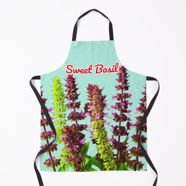 Item preview, Sweet Basil, Herbal Plant, Basil Benefits, Basil Leaves, Basil Recipes, Cooking With Basil designed and sold by PixelStoneDesign .