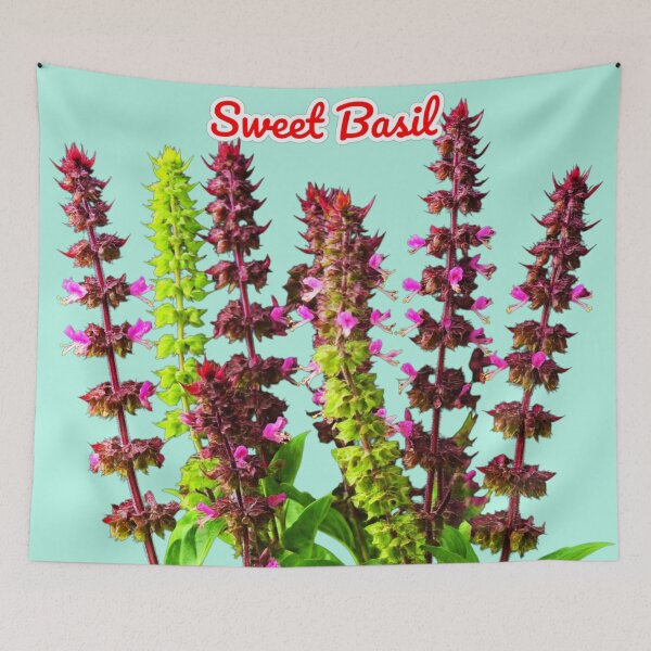 Item preview, Sweet Basil, Herbal Plant, Basil Benefits, Basil Leaves, Basil Recipes, Cooking With Basil designed and sold by PixelStoneDesign .