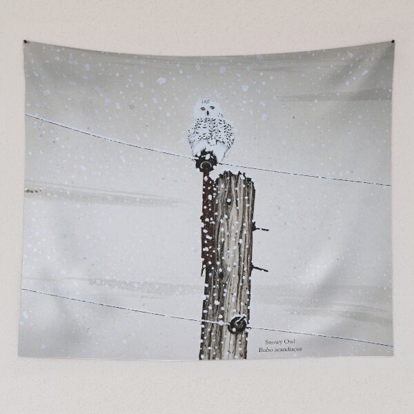 Item preview, Snowy Owl Painting designed and sold by Stephen Emms.