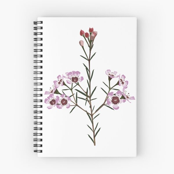 Item preview, Chamaelaucium flower, hand drown illustration. designed and sold by MatyKotiv.