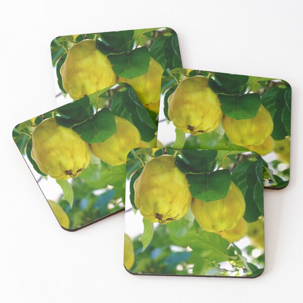 Item preview, Garden of forgotten fruits Pennabilli Italy designed and sold by nikawanders.