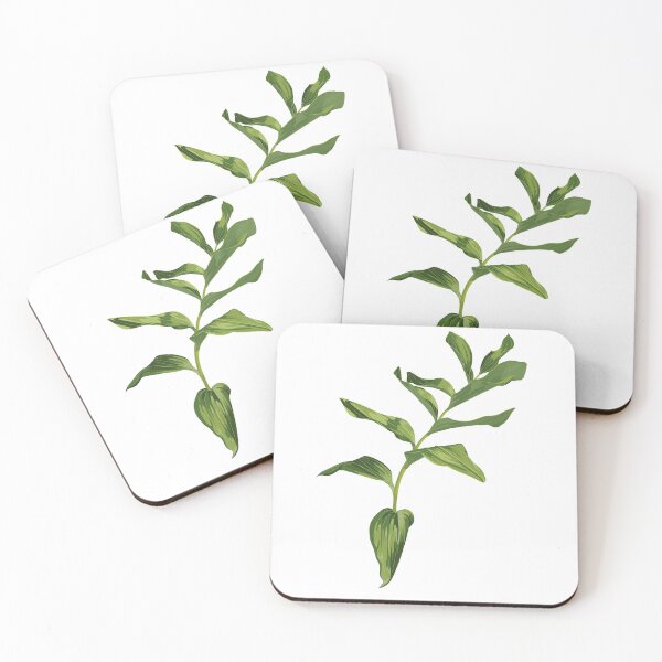 Item preview, Solomon's seal (Polygonatum multiflorum), medicinal plant.  designed and sold by MatyKotiv.