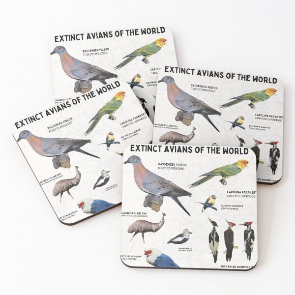 Aperçu de l'œuvre Oiseaux éteints du monde Birder vintage affiche scientifique sur la faune diagramme biologiste créée et vendue par wesleykshaver.