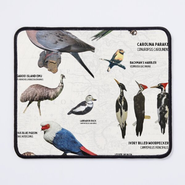 Item preview, Extinct Avians of the world Birder vintage wildlife science poster diagram biologist designed and sold by wesleykshaver.