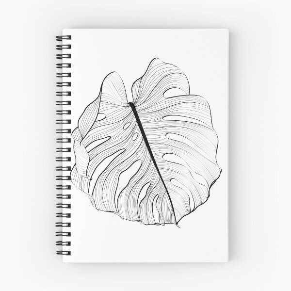 Item preview, Monstera leaf sketch by hand drawing. Leaf art highly detailed in line art style. designed and sold by MatyKotiv.