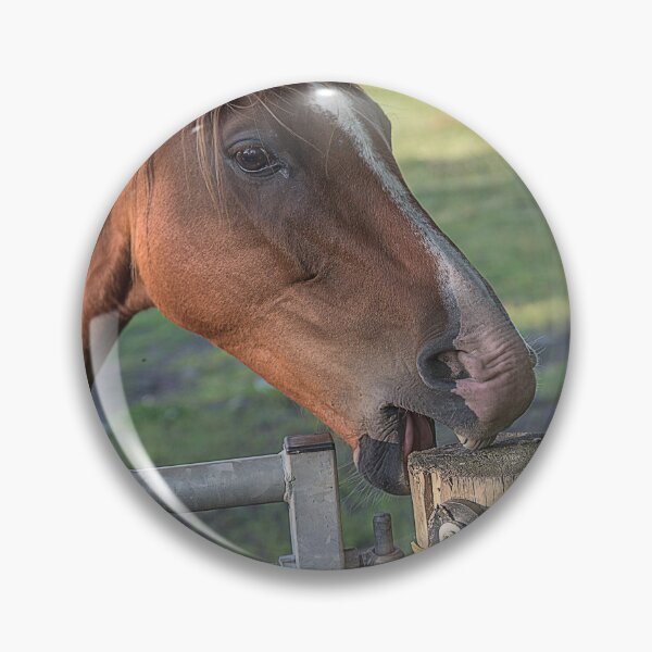 Item preview, Horse Biting a Fence Post designed and sold by David Patterson.