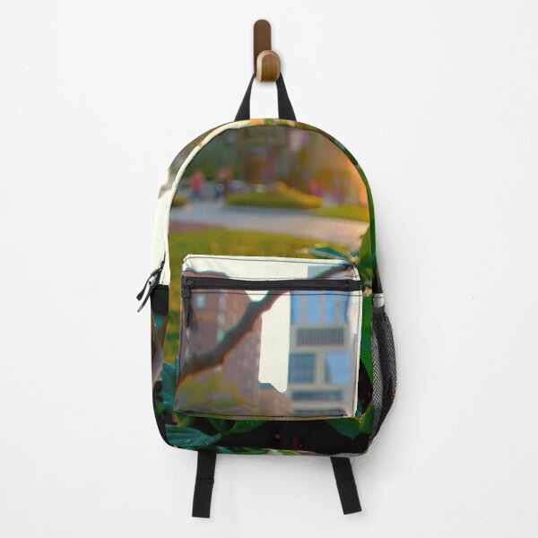 Item preview, Morning Serenity In Green Canopy designed and sold by PanoramaPrints.
