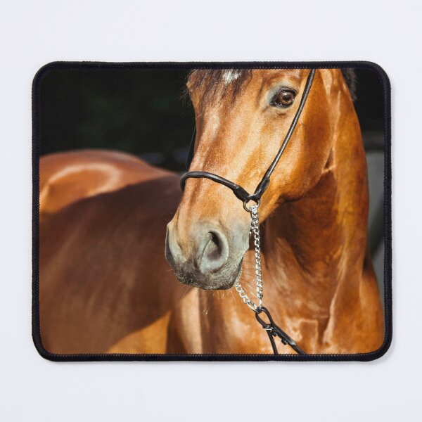Item preview, "Noble Bay Horse in Evening Light" designed and sold by InkspiredCreation.
