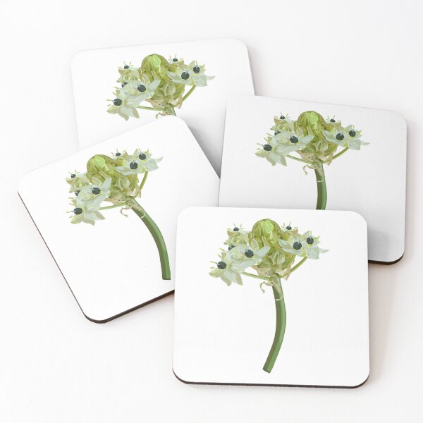 Item preview, Garden star-of-Bethlehem, or grass lily (Ornithogalum umbellatum), ornamental and medicinal plant.  designed and sold by MatyKotiv.