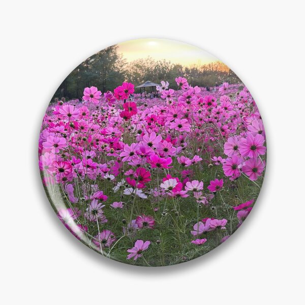 Item preview, Pink Cosmos Flowers in South Korea | Floral Decor designed and sold by YemmyZImages.