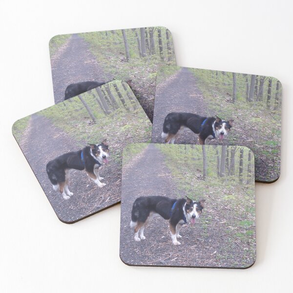 Item preview, Perro de montaña rey suizo designed and sold by awendaur.