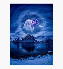 Moonlight Kiss Photographic Print