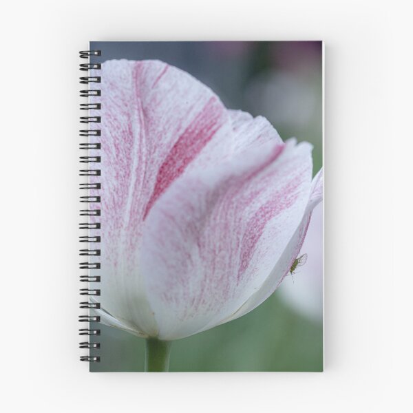 Item preview, Winged Aphid on a Tulip designed and sold by MelBolin.