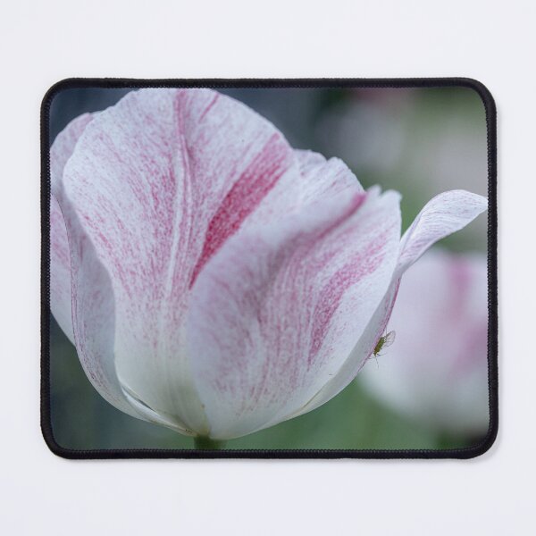 Item preview, Winged Aphid on a Tulip designed and sold by MelBolin.