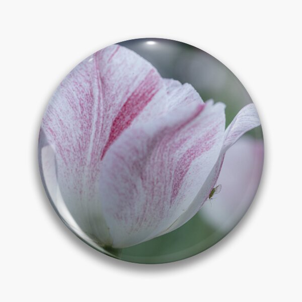 Item preview, Winged Aphid on a Tulip designed and sold by MelBolin.