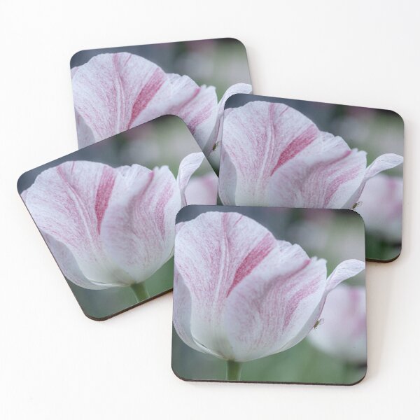 Item preview, Winged Aphid on a Tulip designed and sold by MelBolin.