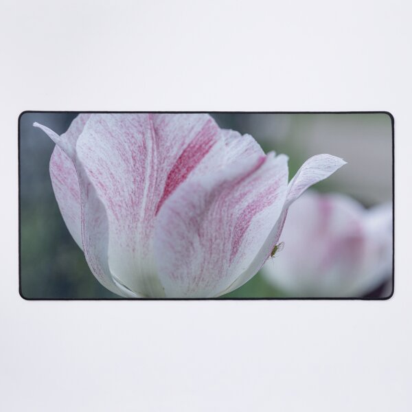 Item preview, Winged Aphid on a Tulip designed and sold by MelBolin.