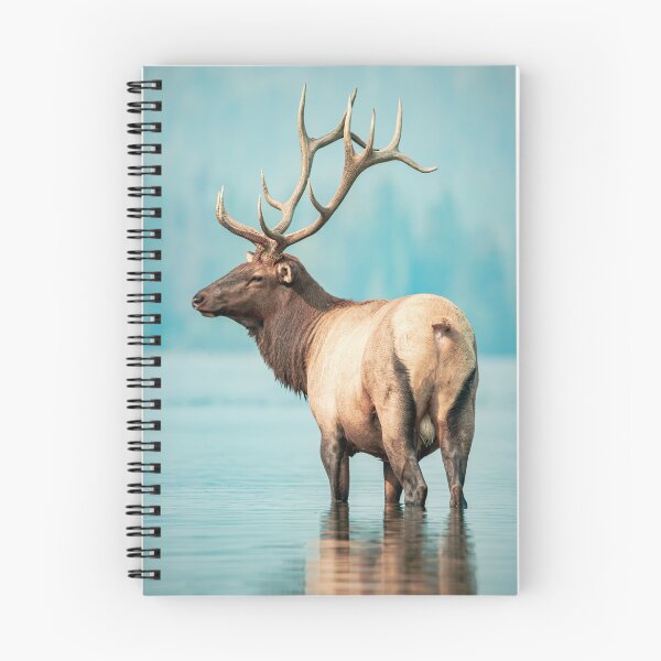 Item preview, An Enchanting Elk designed and sold by MelBolin.