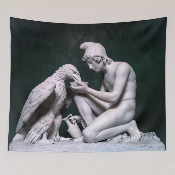 Item preview, Ganymede Waters Zeus as an Eagle designed and sold by Tom McPherson Photography.