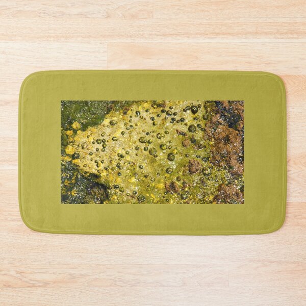 Item preview, Rock with limpets designed and sold by manoloshoping.