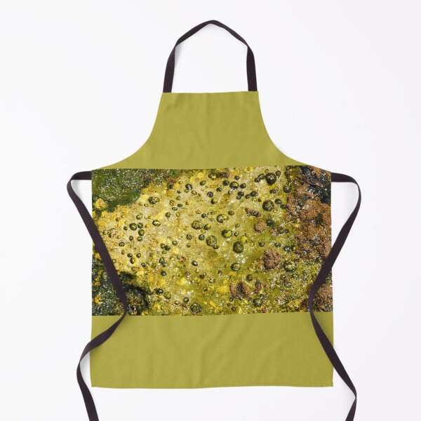 Item preview, Rock with limpets designed and sold by manoloshoping.