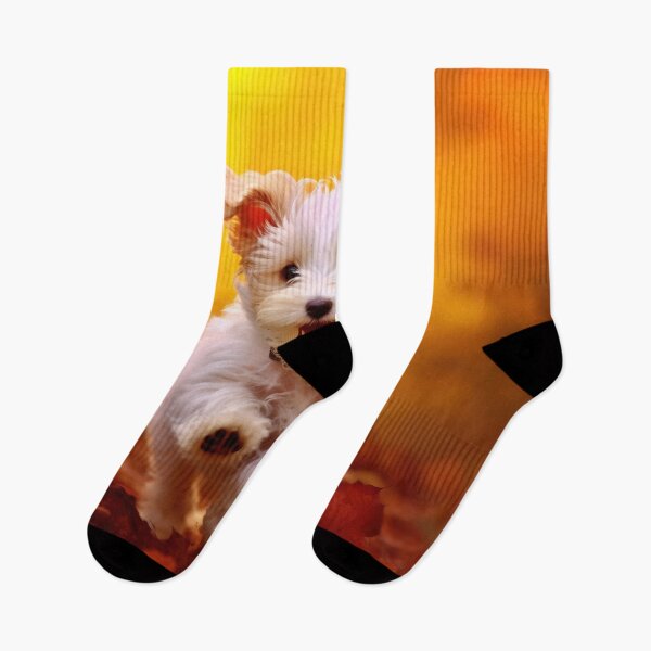 Item preview, Active healthy puppy running with open mouth sticking out tongue in the forest on autumn designed and sold by anytka.