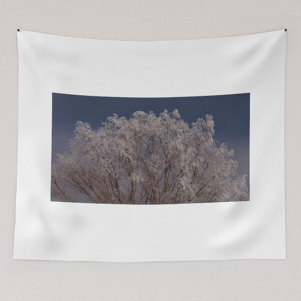 Item preview, Frost covered tree top designed and sold by Cblifeisgood.
