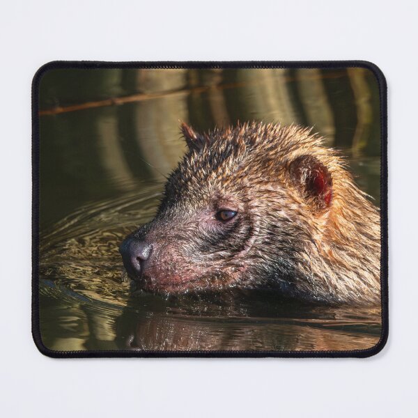 Item preview, Into the Flow: A Bush Dog’s Water Adventure designed and sold by Karen Dore Art & Photography.