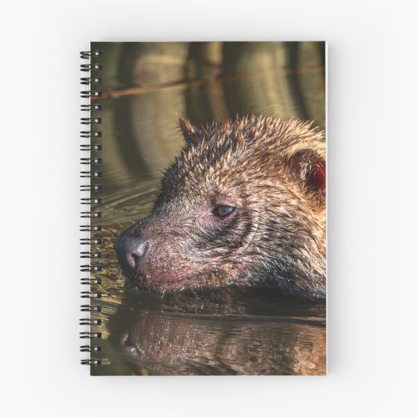 Item preview, Into the Flow: A Bush Dog’s Water Adventure designed and sold by Karen Dore Art & Photography.