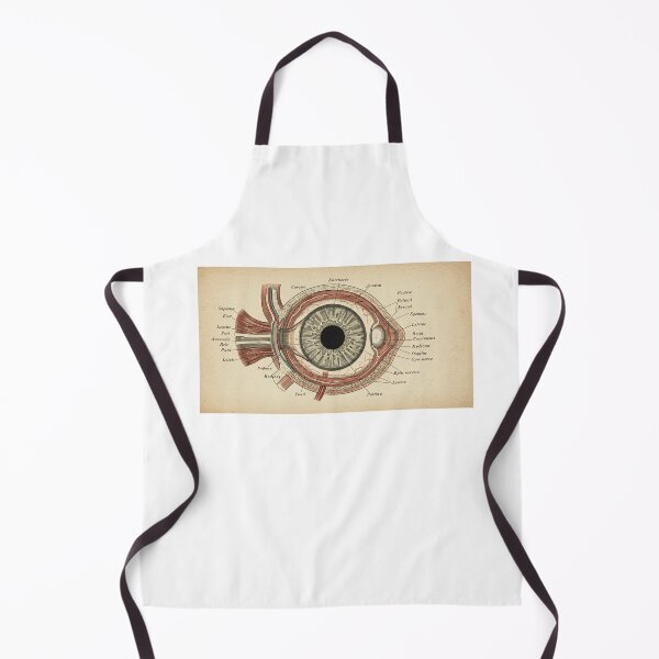 Item preview, vintage eye diagram designed and sold by FitEnvy.