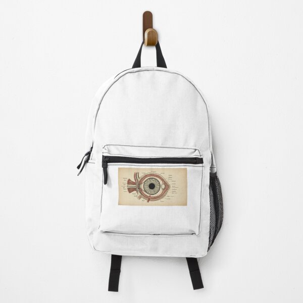 Item preview, vintage eye diagram designed and sold by FitEnvy.