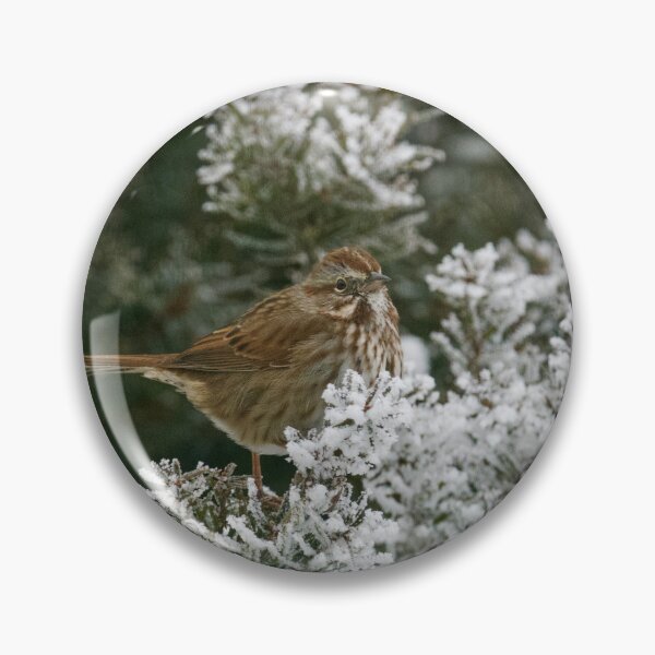 Item preview, Song Sparrow on frosted tree designed and sold by Cblifeisgood.