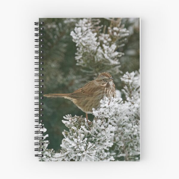 Item preview, Song Sparrow on frosted tree designed and sold by Cblifeisgood.