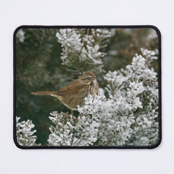 Item preview, Song Sparrow on frosted tree designed and sold by Cblifeisgood.