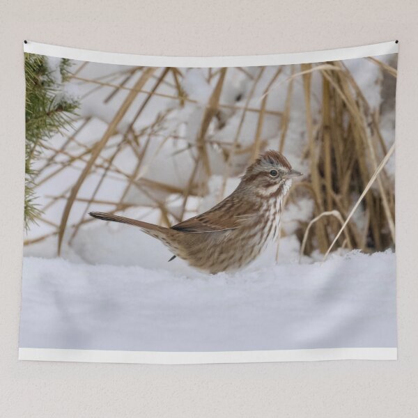 Item preview, Song sparrow in the snow designed and sold by Cblifeisgood.