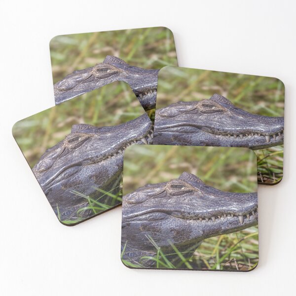 Item preview, Up Close and Personal with a Caiman designed and sold by PhotoArt by Joan Carroll.