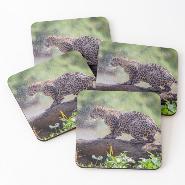 Item preview, Jaguar Shakes Off A Swim Pantanal Brazil designed and sold by PhotoArt by Joan Carroll.