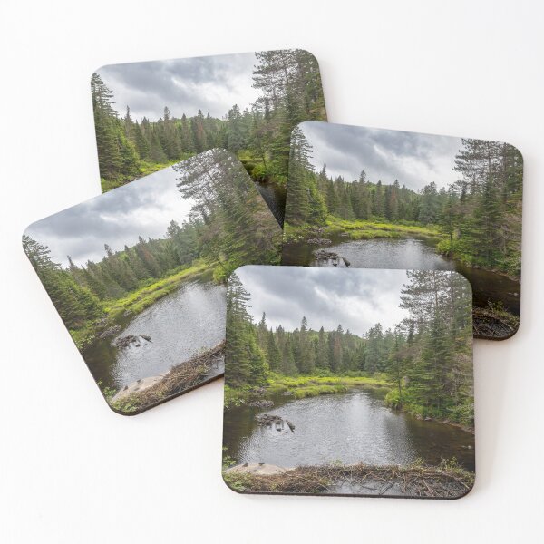 Item preview, Track and Tower Trail, Algonquin Park, Ontario 6 designed and sold by jrtwynam.